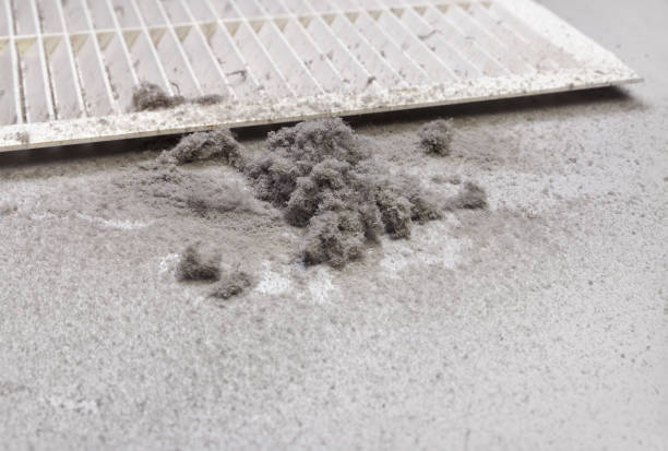 Best Home Air Vent Cleaning  in Oran, MO