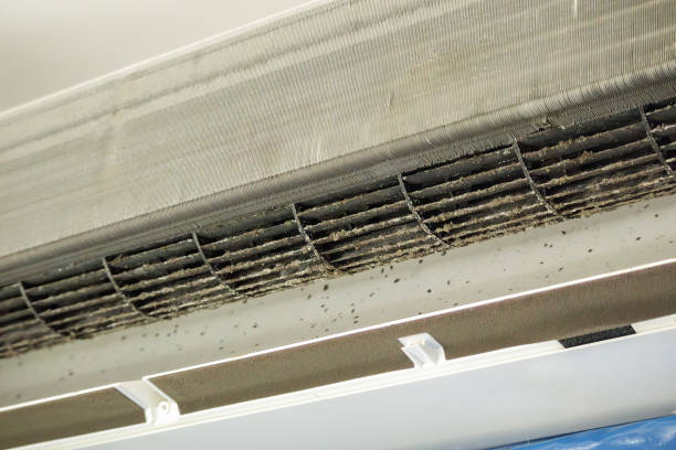 Best Air Duct Cleaning Near Me  in Oran, MO