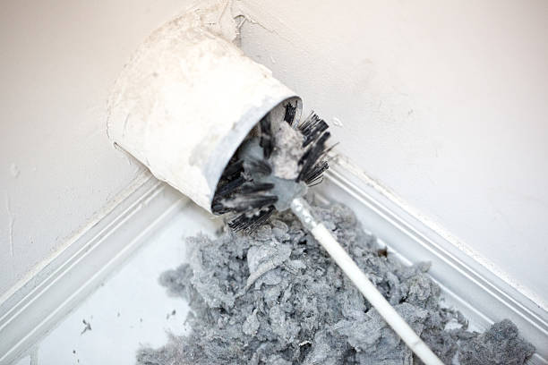 Best Ductwork Cleaning Services  in Oran, MO